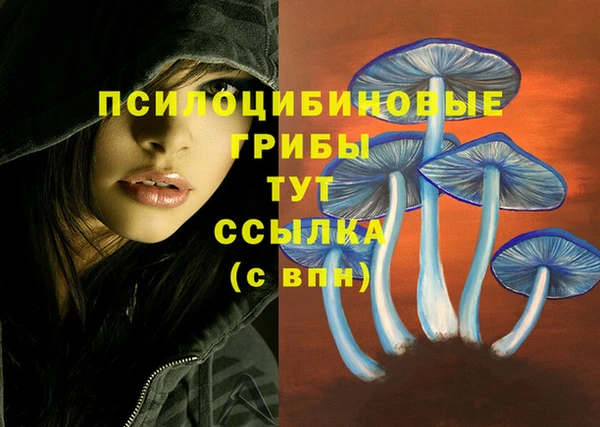 спиды Майский