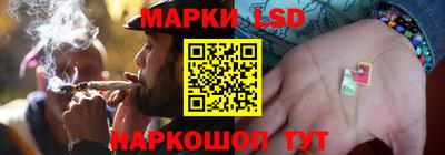 PSILOCYBIN Ярославль